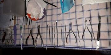 Falsa odontóloga Paraná