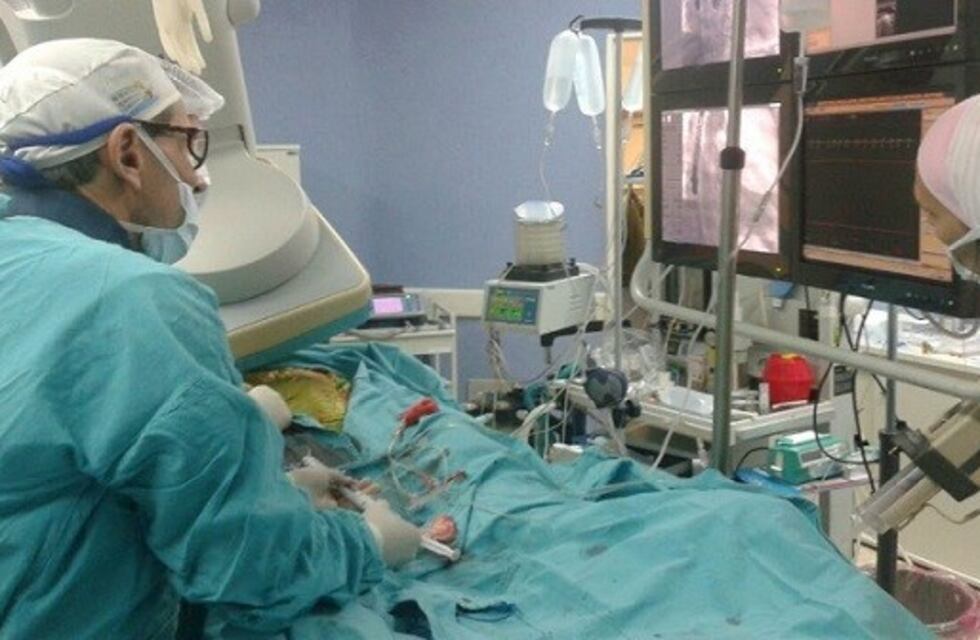 Santa Fe alcanzó por segunda vez en el año el récord de donantes