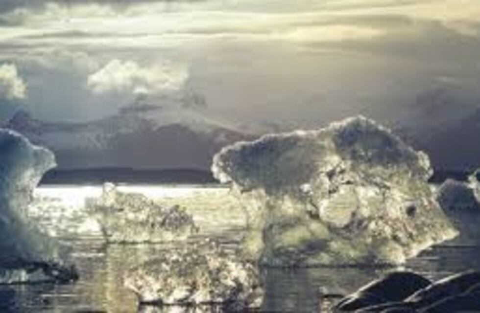 Descubren una selva tropical hundida en la Antártida