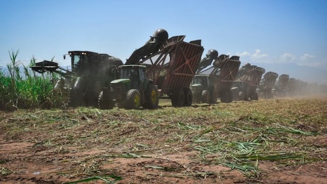 Finalizó la zafra 2019 en Ledesma, Jujuy