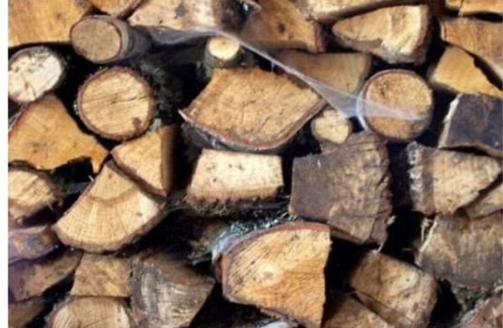 Empadronaran a elaboradores de Carbón, Leña, Madera y Consumidores Comerciales