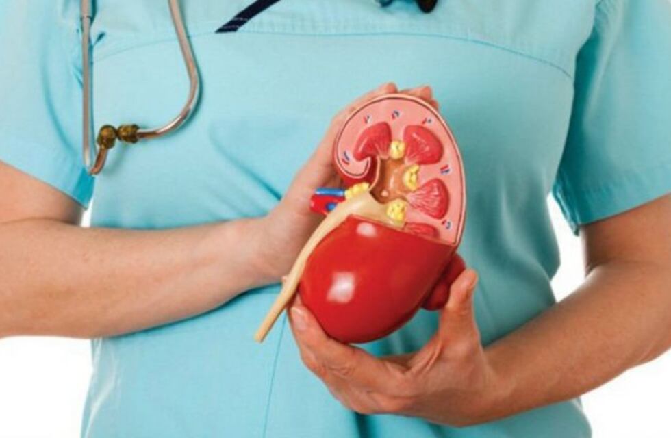 Campaña del rinón en el Hospital Córdoba