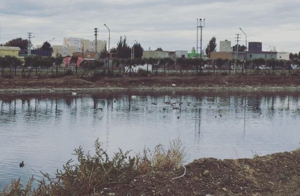 Clima en Caleta Olivia: como va a estar el tiempo el fin de semana