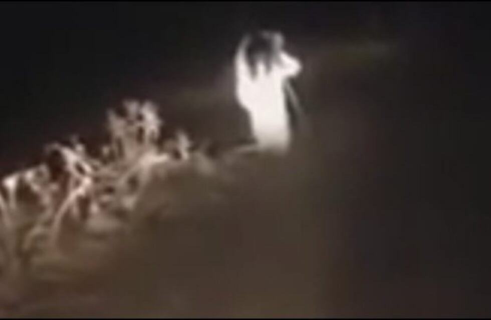 Video: imágenes estremecedoras conmocionan a vecinos de Berisso