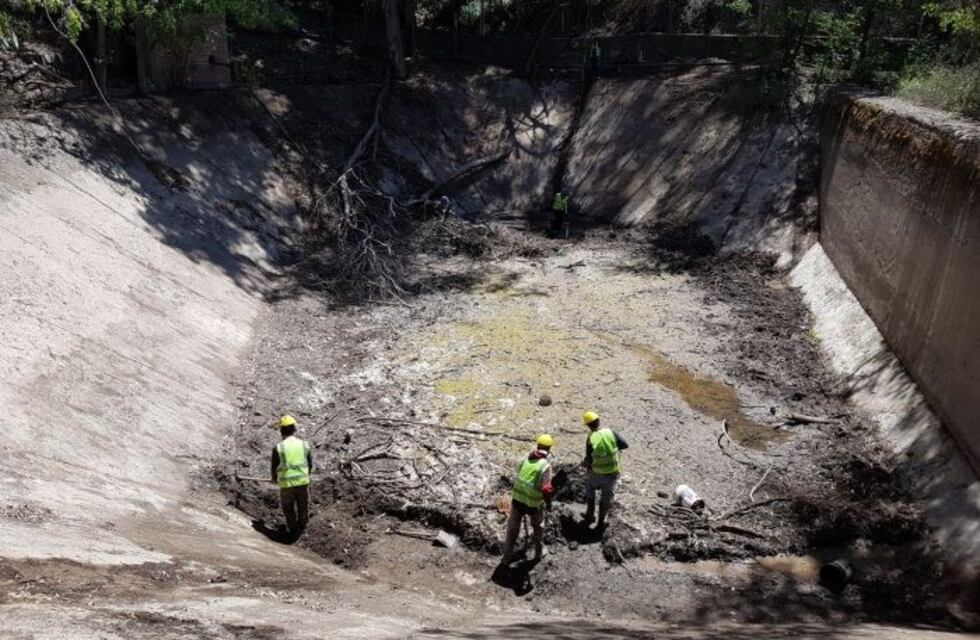 ¿Qué pasó con la transformación del Zoo de Mendoza en Ecoparque?
