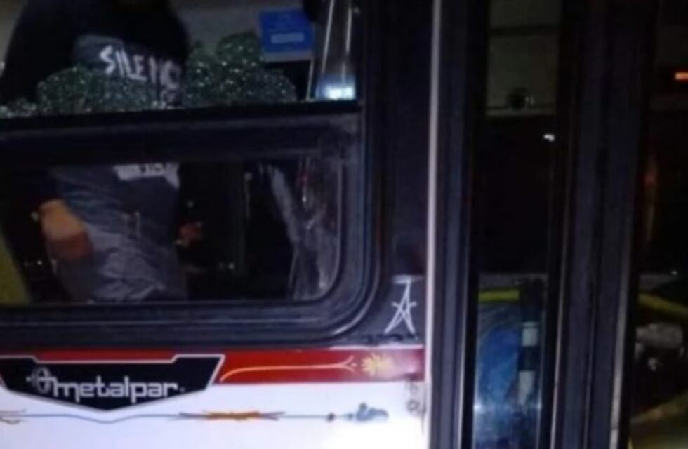 Desesperado relato de un testigo del crimen del colectivero en Virrey del Pino: "Mataron al chofer"