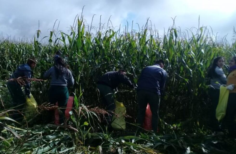 Alumnos de Piquillín participaron de la Chocleada Solidaria