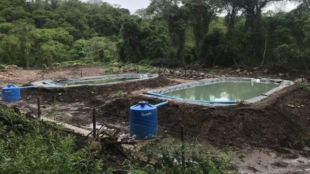 La explotación en el yacimiento Caimancito, que quedó dentro del Parque Nacional Calilegua, había comenzado en 1969. El pozo individualizado como YPF.Jj. CA-E-3 fue abandonado y colapsó en 1997. Para 2018 (foto) se inició trabajos para mitigar la contaminación.