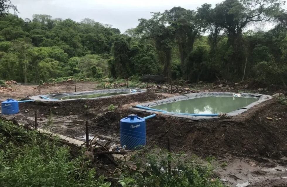 La Corte Suprema condenó al Estado por contaminación petrolera en el Parque Nacional Calilegua