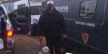 El sanjuanino Juan Maldonado, junto a Fiona y Loba las dos perras entrenadas en búsqueda de personas. Desde el martes participan de los rastrillajes en San Luis. Gentileza
