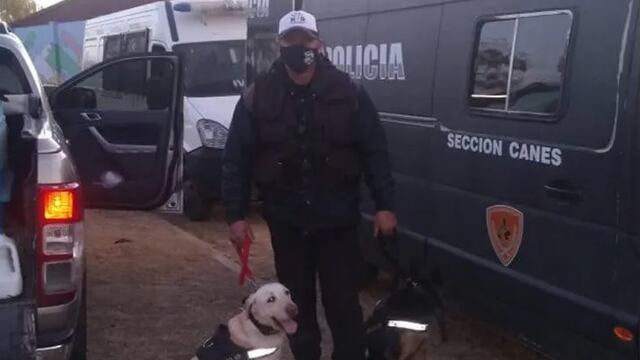 El sanjuanino Juan Maldonado, junto a Fiona y Loba las dos perras entrenadas en búsqueda de personas. Desde el martes participan de los rastrillajes en San Luis. Gentileza