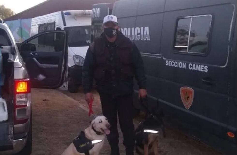 Búsqueda de Guadalupe: la esperanza de un sanjuanino y sus dos perras entrenadas de hallarla con vida