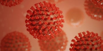 Ómicron, una nueva variante del coronavirus. (Foto: Gentileza/Clarín)