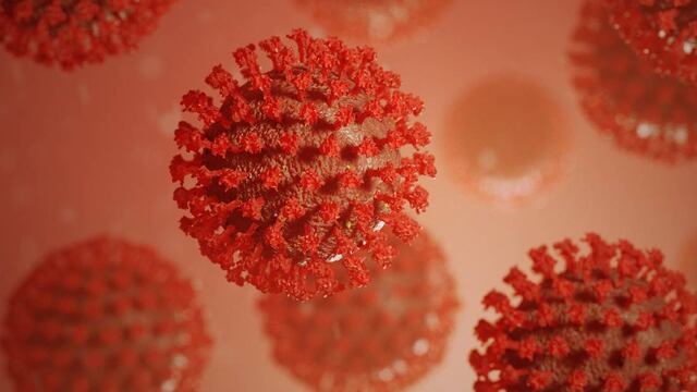 Ómicron, una nueva variante del coronavirus. (Foto: Gentileza/Clarín)
