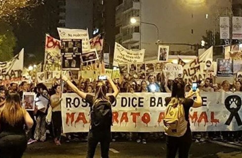 Rosario volverá a decirle basta al maltrato animal