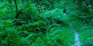 Parque Nacional de Los Alisos\u002E (Marca Tucumán\u002E Facebook)