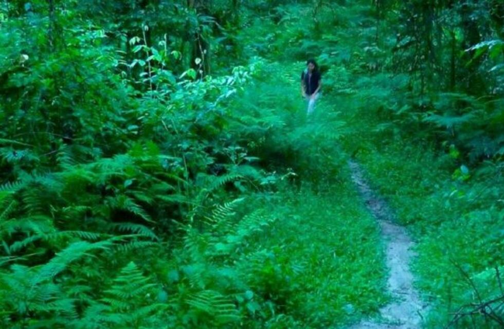 Jornada de Observación de Aves