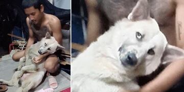 El gracioso perro que no quiere bañarse (Web)