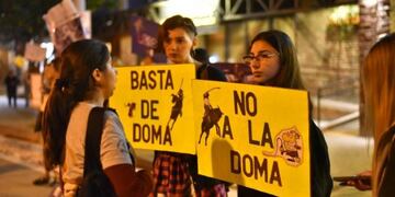 La ONG Sin Estribos protestó contra la jineteada en Jesús María\u002E