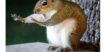 Este año será la cuarta edición consecutiva de estos premios que cada vez ganan más popularidad\u002E