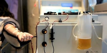 Donación de plasma en Río Negro: cómo es el tratamiento en pacientes con coronavirus