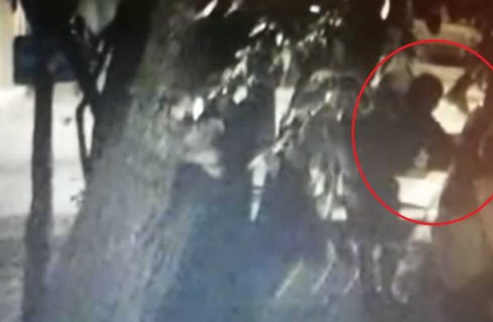 Cámaras registraron a delincuentes mientras robaban un auto