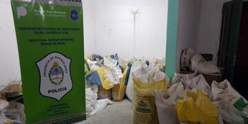 Incautaron más de 20 toneladas de cereal robado durante un allanamiento