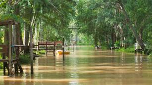 Delta del Río Paraná, Tigre (Foto: imagen ilustrativa/web)