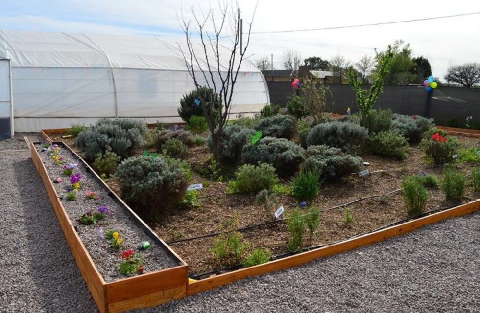 Un invernadero con plantas aromáticas hecho por personas con discapacidad