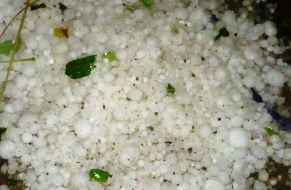 Tormenta de granizo afectó zonas cultivadas de San Rafael