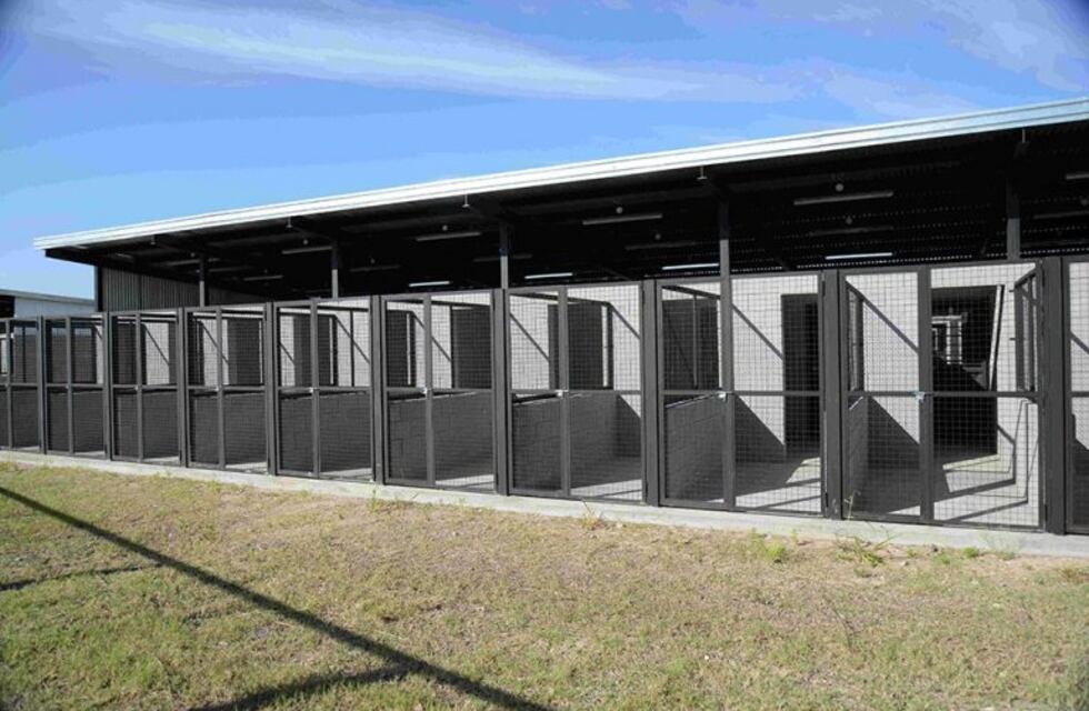 El Imusa inaugura un nuevo centro de adopción de mascotas