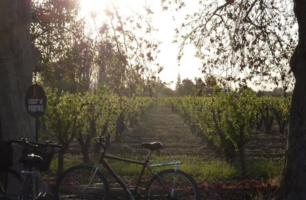 Los 7 destinos que no podes dejar de visitar si estás en Mendoza