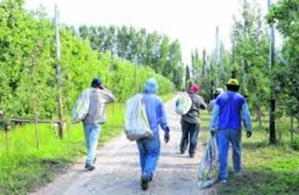 El Renatre entregó más de 400 Libretas de Trabajo Rural