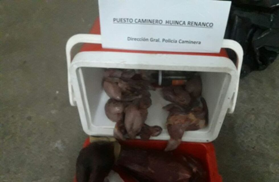 Dos detenidos por infracción a la ley de conservación de la fauna