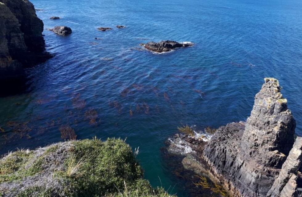 Debatirán la creación del área natural protegida "Península Mitre"