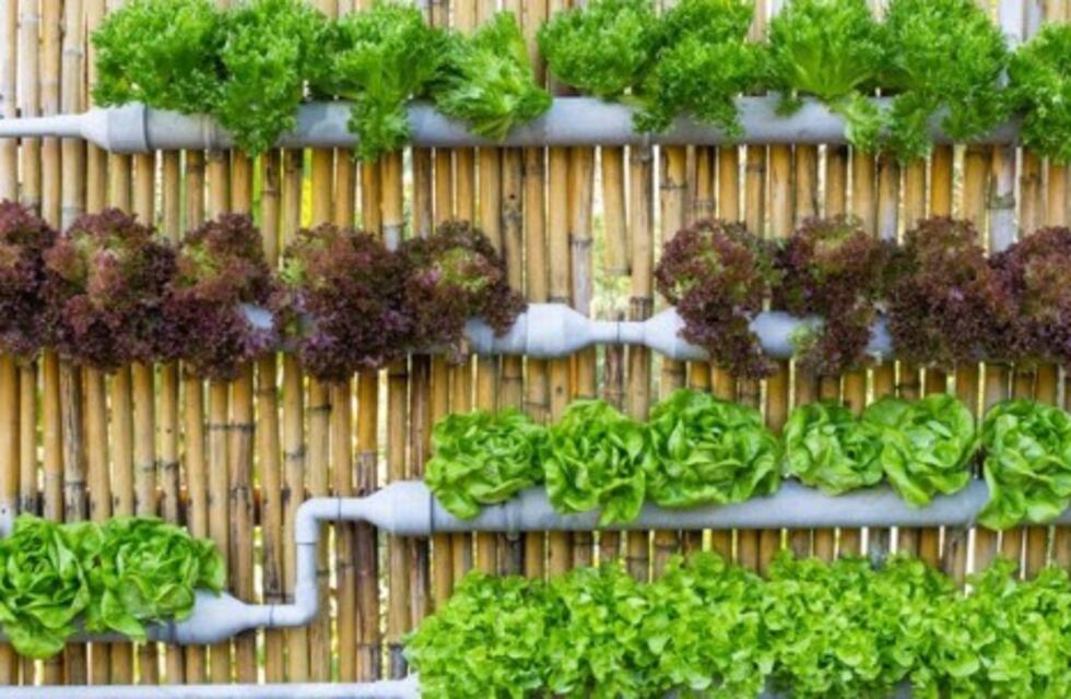 Se viene la última edición del año de La Huerta en Casa