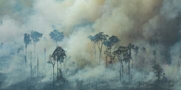 El humo del fuego que consume la floresta en diversos puntos del Brasil, principalmene en la zona del Amazonas, llegará a Misiones esta semana\u002E (Victor Moriyama/Greenpeace Brazi / DPA) Foto ilustrativa\u002E