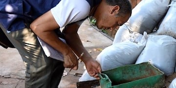 Tareas de detección de larvas del mosquito Aedes aegypti en Posadas\u002E (MisionesOnline)