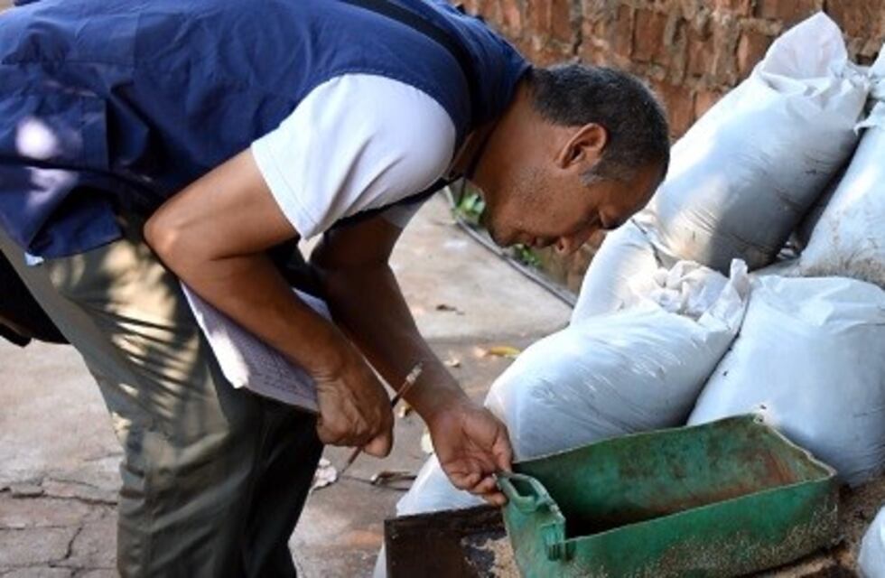 Eliminan el Aedes que transmite el dengue desde su nivel larvario