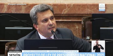Víctor Zimmermann durante su exposición en el Senado de la Nación (Foto: Gentileza Prensa Víctor Zimmermann)