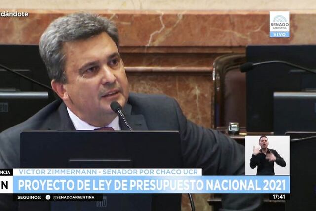 Víctor Zimmermann durante su exposición en el Senado de la Nación (Foto: Gentileza Prensa Víctor Zimmermann)