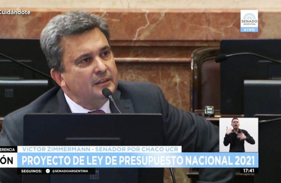 Presupuesto 2021: Zimmermann defendió al campo y a las obras para el Chaco