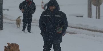 Localidades de Alta Montaña quedaron sin luz por el intenso temporal de nieve
