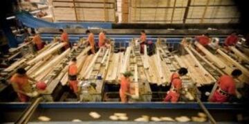 Industria maderera (MisionesOnline?