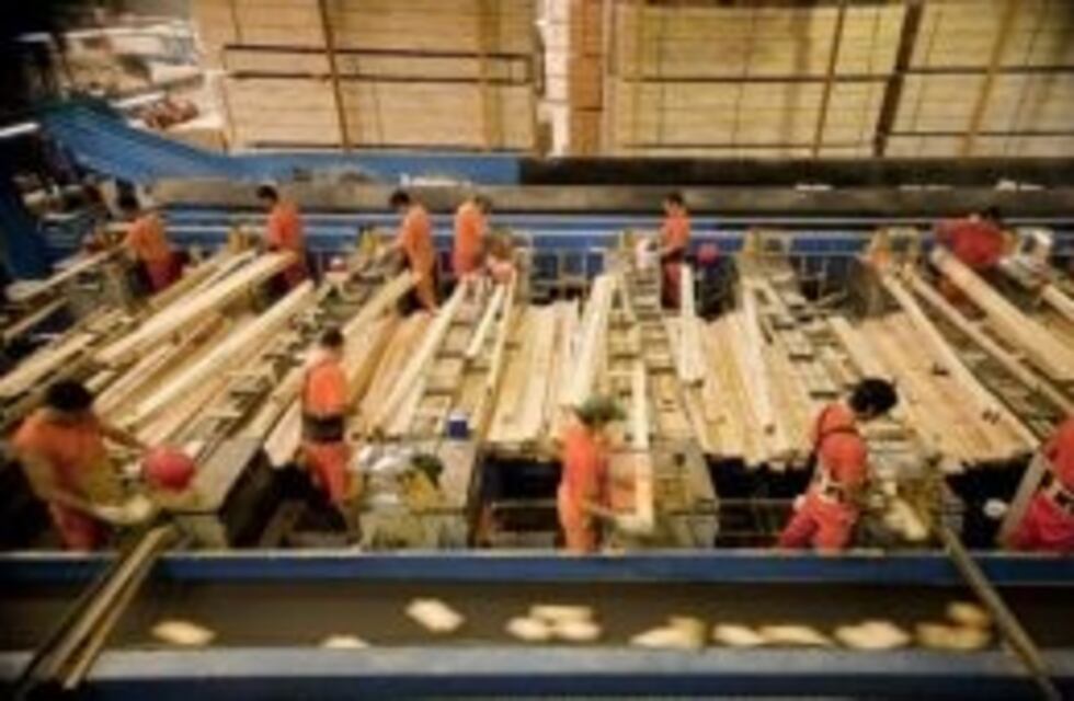 Exportación maderera con prefinanciación de fondos del CFI