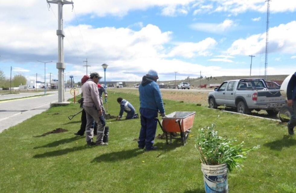 El objetivo es beneficiar la forestación urbana de la localidad de Tecka