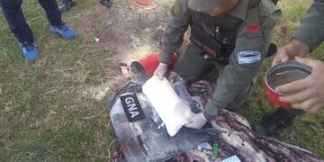 Bolivianos detenidos por llevar cocaína escondida en un matafuego (Gendarmería)