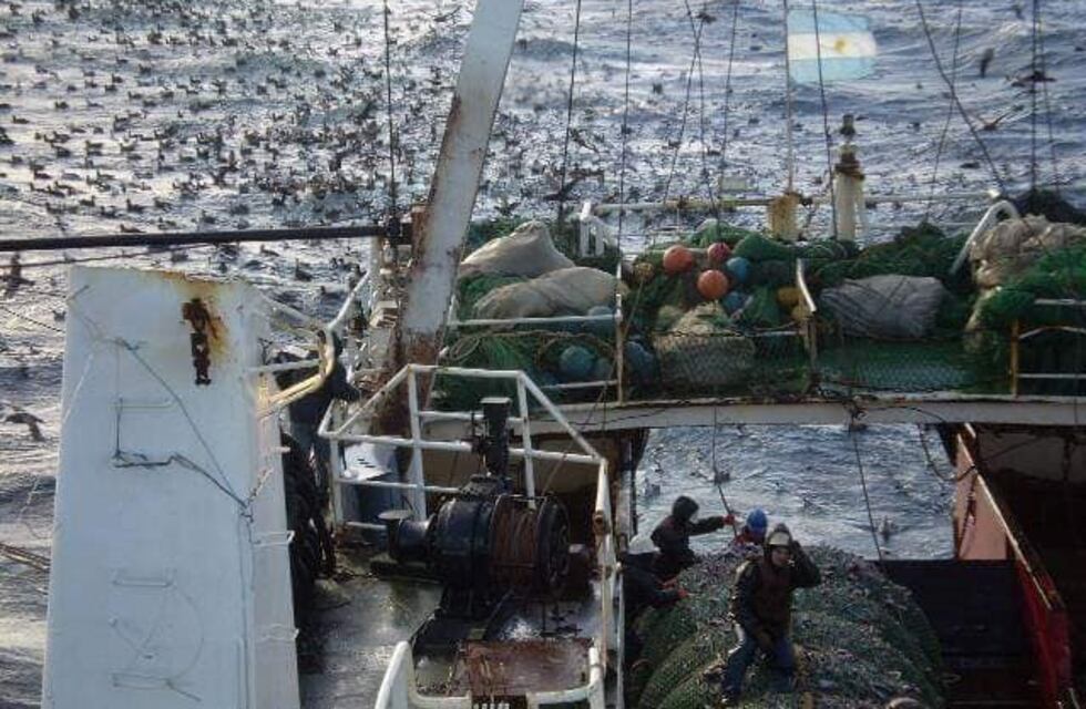 Cierran provisoriamente la pesca del langostinos