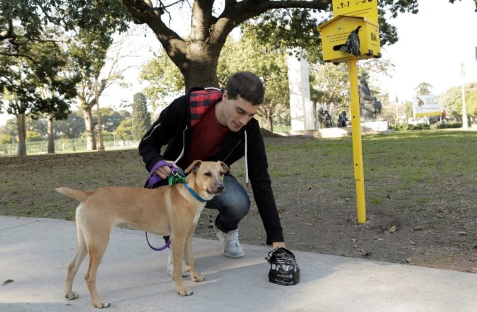 Sólo uno de cada tres dueños recoge las heces de sus mascotas en la ciudad de Buenos Aires