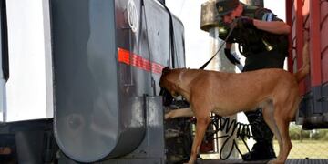 Detuvieron un camión con 94 kilos de marihuana\u002E